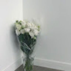 Meet your Posher, Gloria